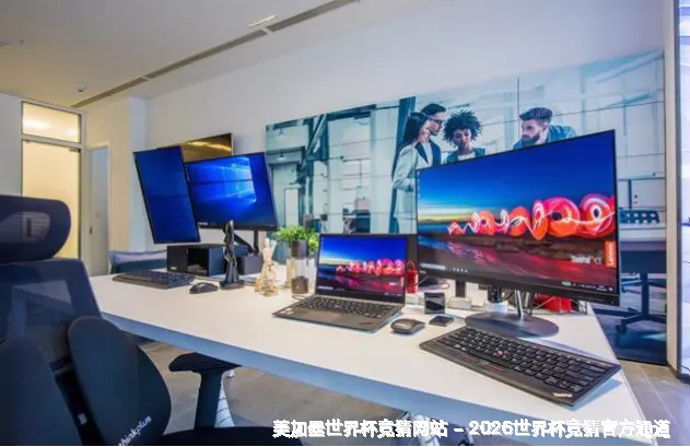 未来愿景与发展方向